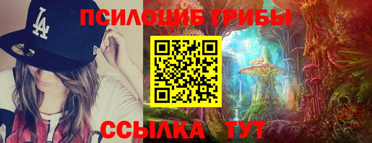 Галлюциногенные грибы MAGIC MUSHROOMS  Вход с VPN  закладка  Валуйки 